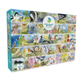 Birdsong & Bluebells – 1000