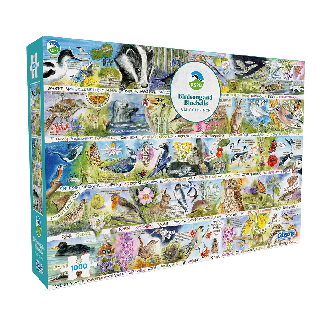 Birdsong & Bluebells – 1000