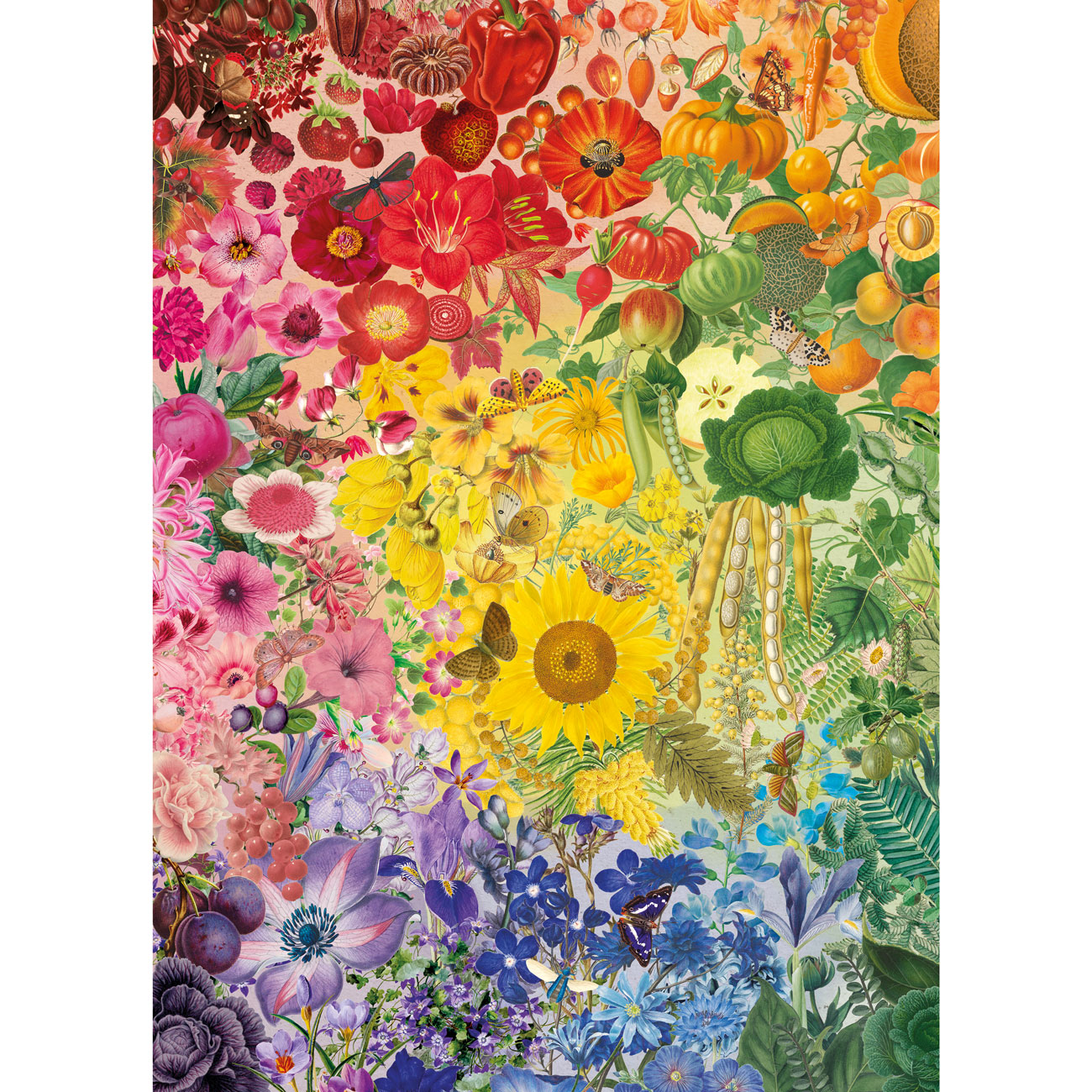 Colours of Nature – 1000