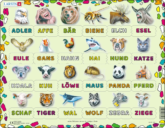 Lies und finde das Tier – LS44-DE