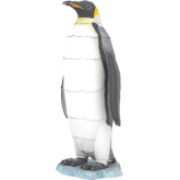 Emperor Penguin – Metall Bausatz