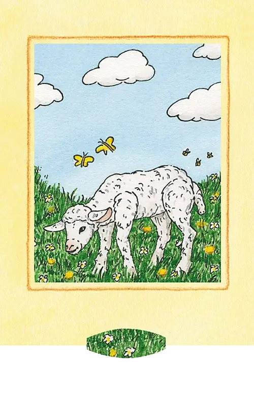 Lebende Karten – Lamm