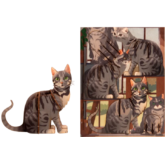 Katze sitzend – 3D Deko Grusskarte