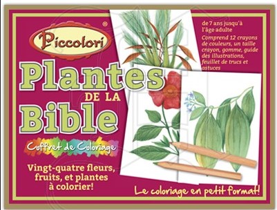 Schachtel von Piccolori Plantes de la Bible