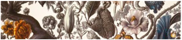 Leerbox – Flower 06