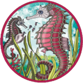 Picoli Puzzle – Seepferdchen