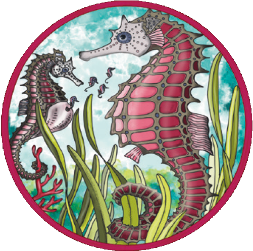 Picoli Puzzle – Seepferdchen