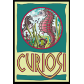 Picoli Puzzle – Seepferdchen