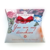 Glückslichtbox – Vintage – You are my sunshine